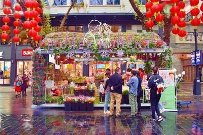 广州网红打卡点“上新”!探访北京路“鲜花体验店”